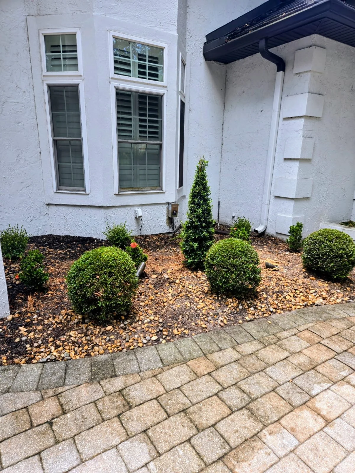 Condor Lawn Services