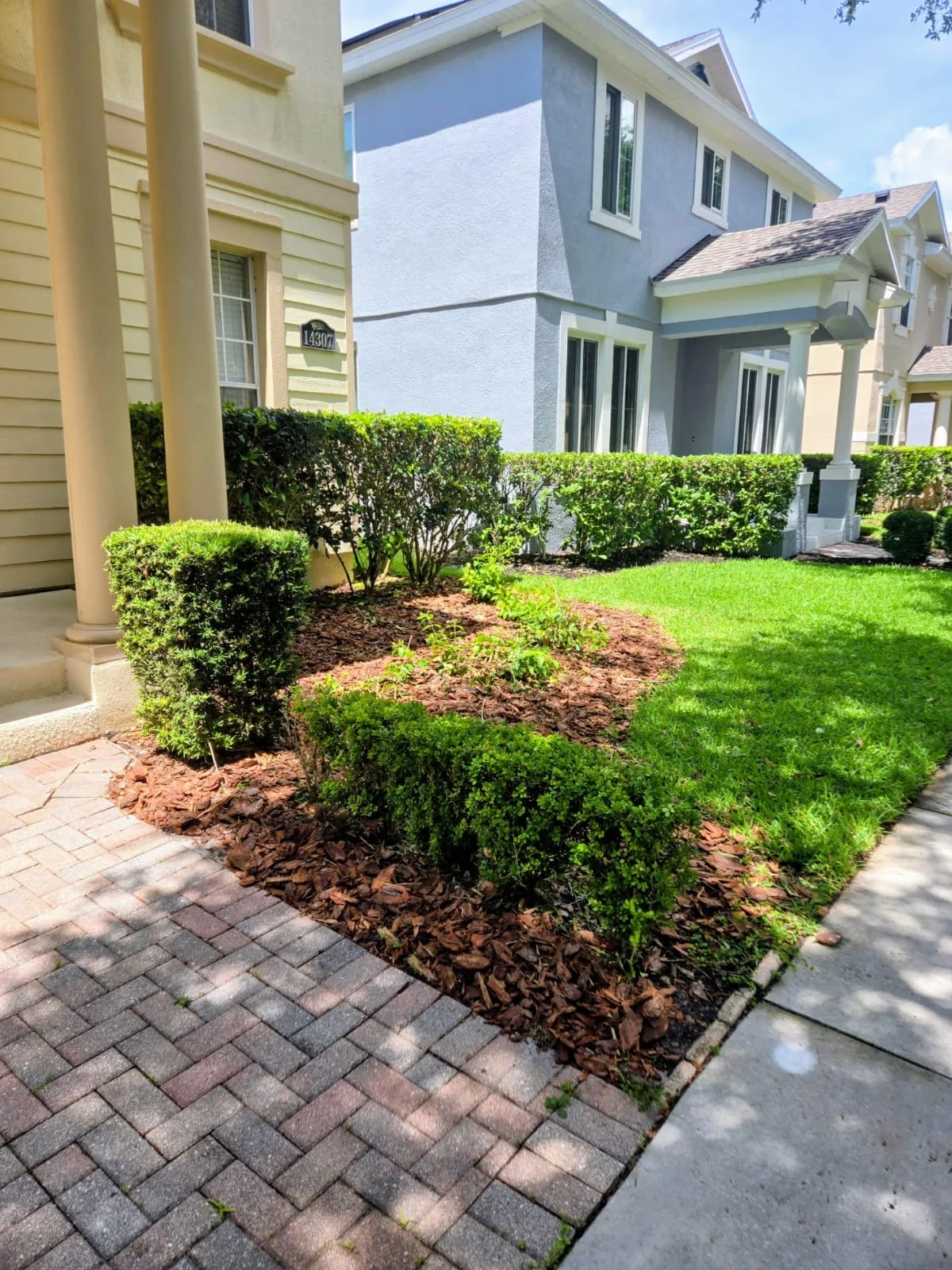 Condor Lawn Services
