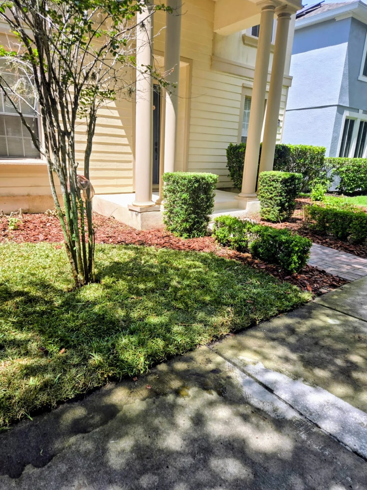 Condor Lawn Services
